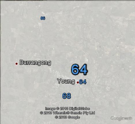 Two-party-preferred votes in Young at the 2010 federal election.