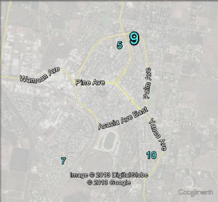 Liberal primary votes in Leeton at the 2010 federal election.