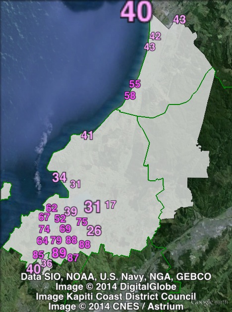 Labour candidate votes in Mana at the 2011 general election.