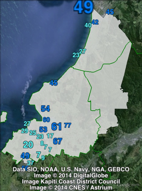 National candidate votes in Mana at the 2011 general election.