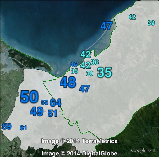 National party votes in Nelson at the 2011 general election.