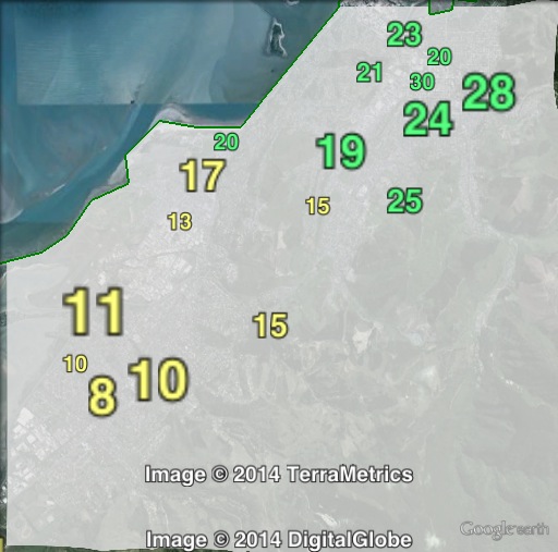 Green party votes in the Nelson urban area at the 2011 general election.