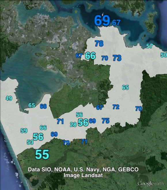 National party votes in Hunua at the 2011 general election.