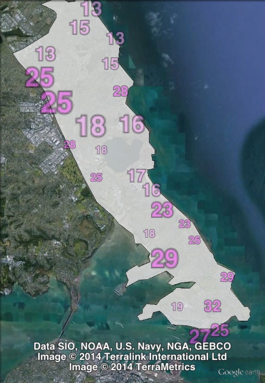 Labour electorate votes in North Shore at the 2011 general election.