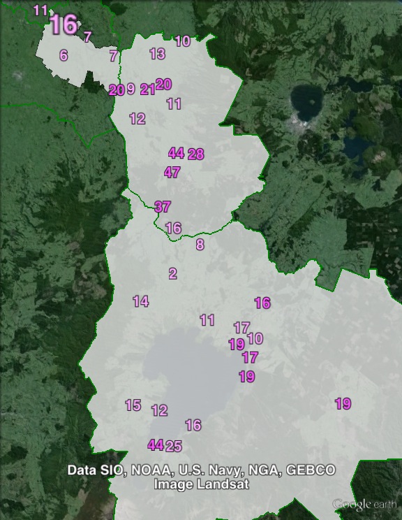 Labour party votes in Taupō at the 2011 general election.