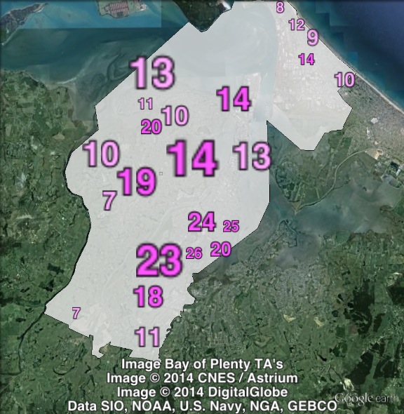 Labour party votes in Tauranga at the 2011 general election.