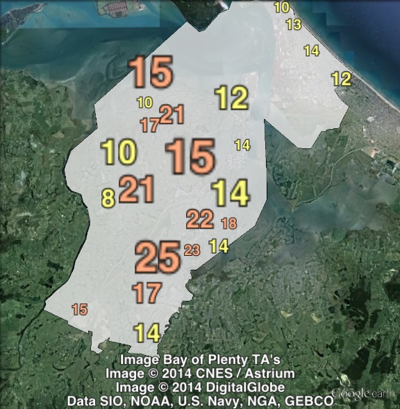 New Zealand First party votes in Tauranga at the 2011 general election.