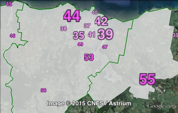 Primary votes for independent candidate Mike Gaffney in Mersey at the 2009 Legislative Council election.