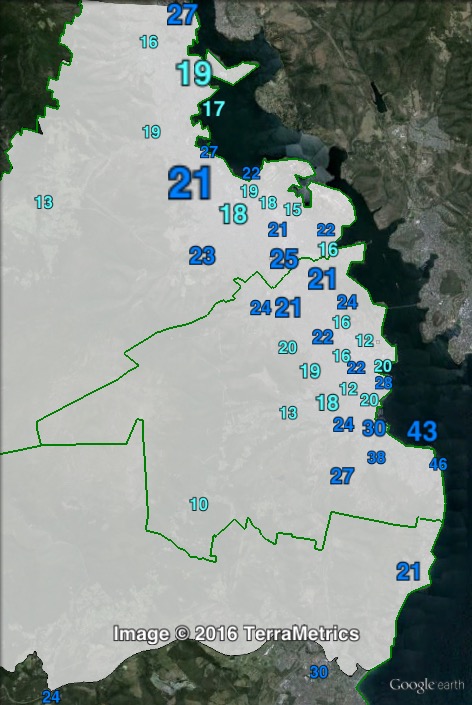 Liberal primary votes in Denison at the 2013 federal election.